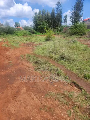 100# 100 in Thika Kigajo