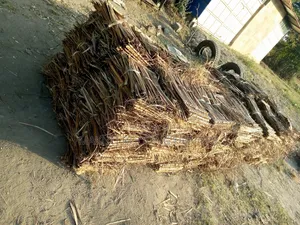 Makuti Dealers