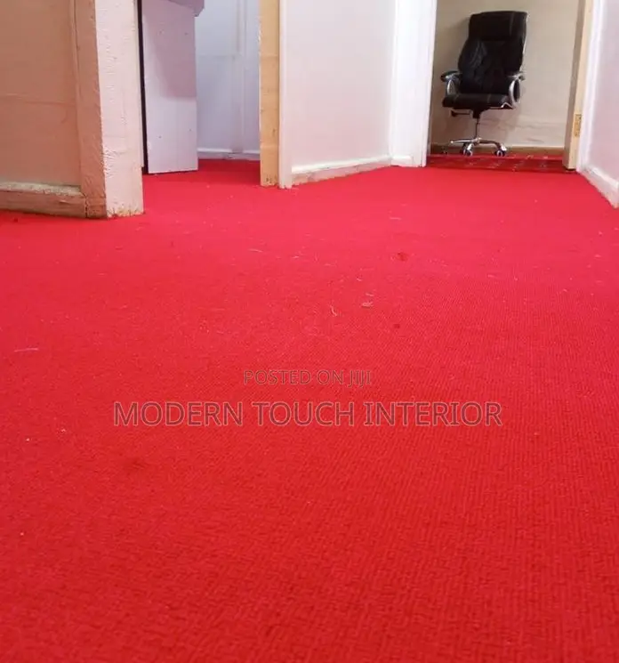 Plush Comfort Wall-to-Wall Carpet