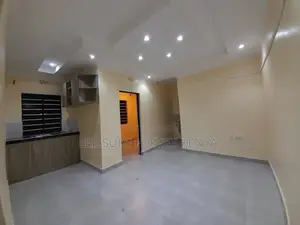 1bdrm Bedsitter in Siaya Township for rent