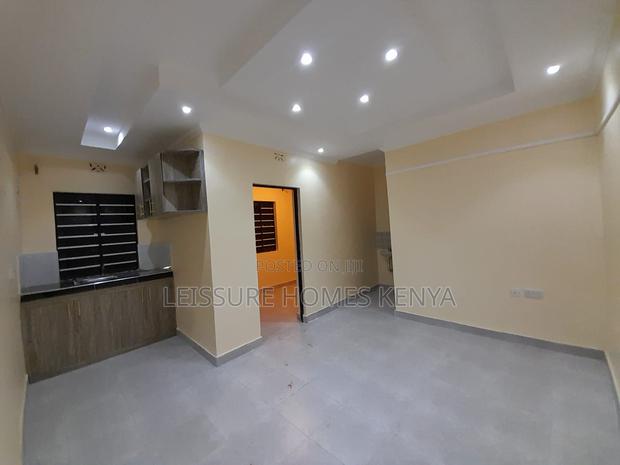 1bdrm Bedsitter in Siaya Township for rent - thumbnail 7