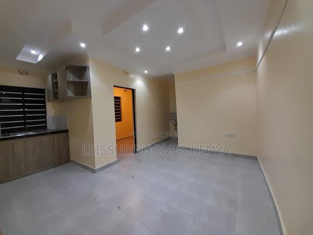 1bdrm Bedsitter in Siaya Township for rent - thumbnail 9