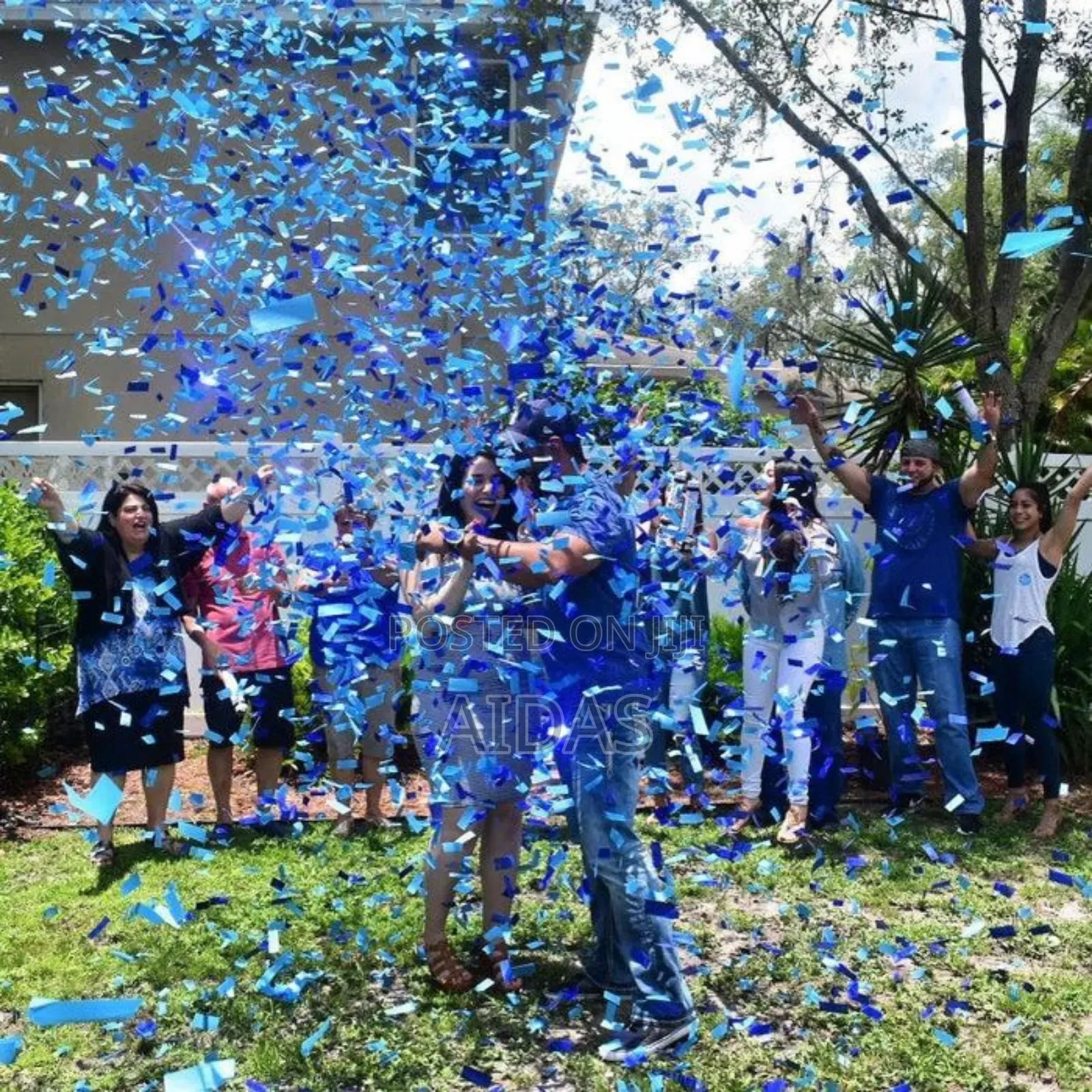 Gender Reveal Party Popper