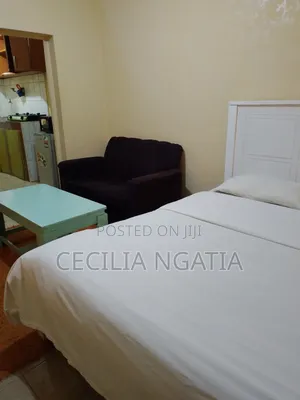 Studios and 1bedroom Airbnbs in Roysambu for Short and Long Stays