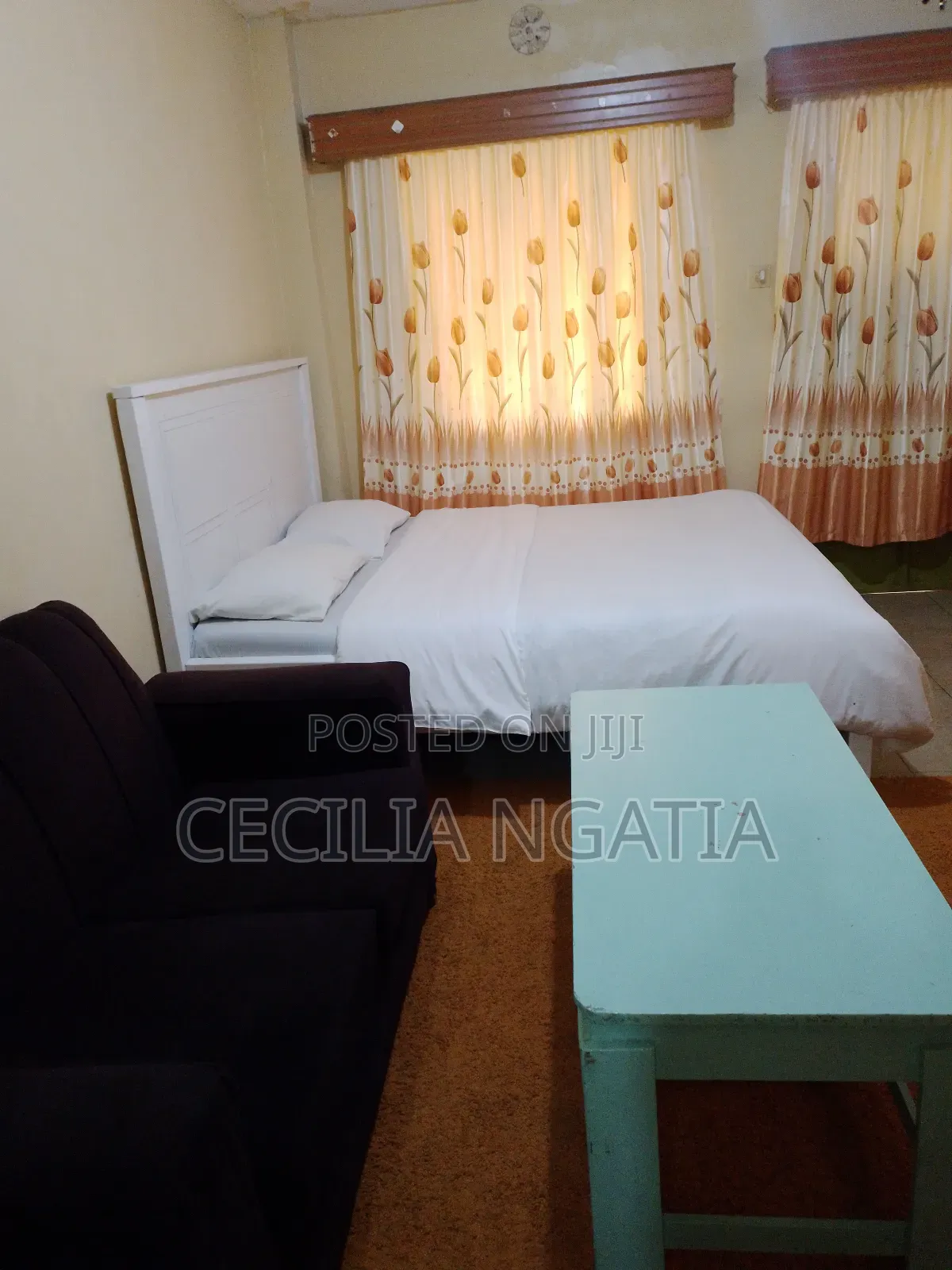 Studios and 1bedroom Airbnbs in Roysambu for Short and Long Stays