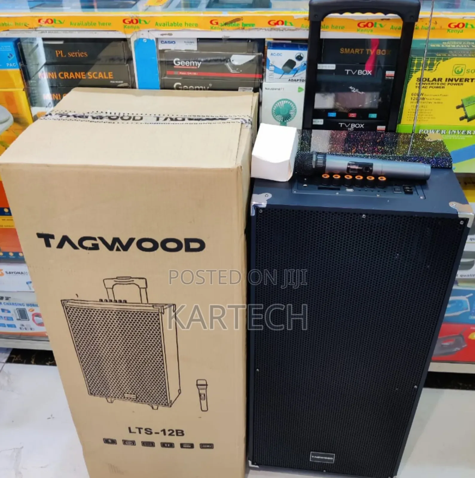Tagwood 12" 12B Rechargeable Portable Speaker