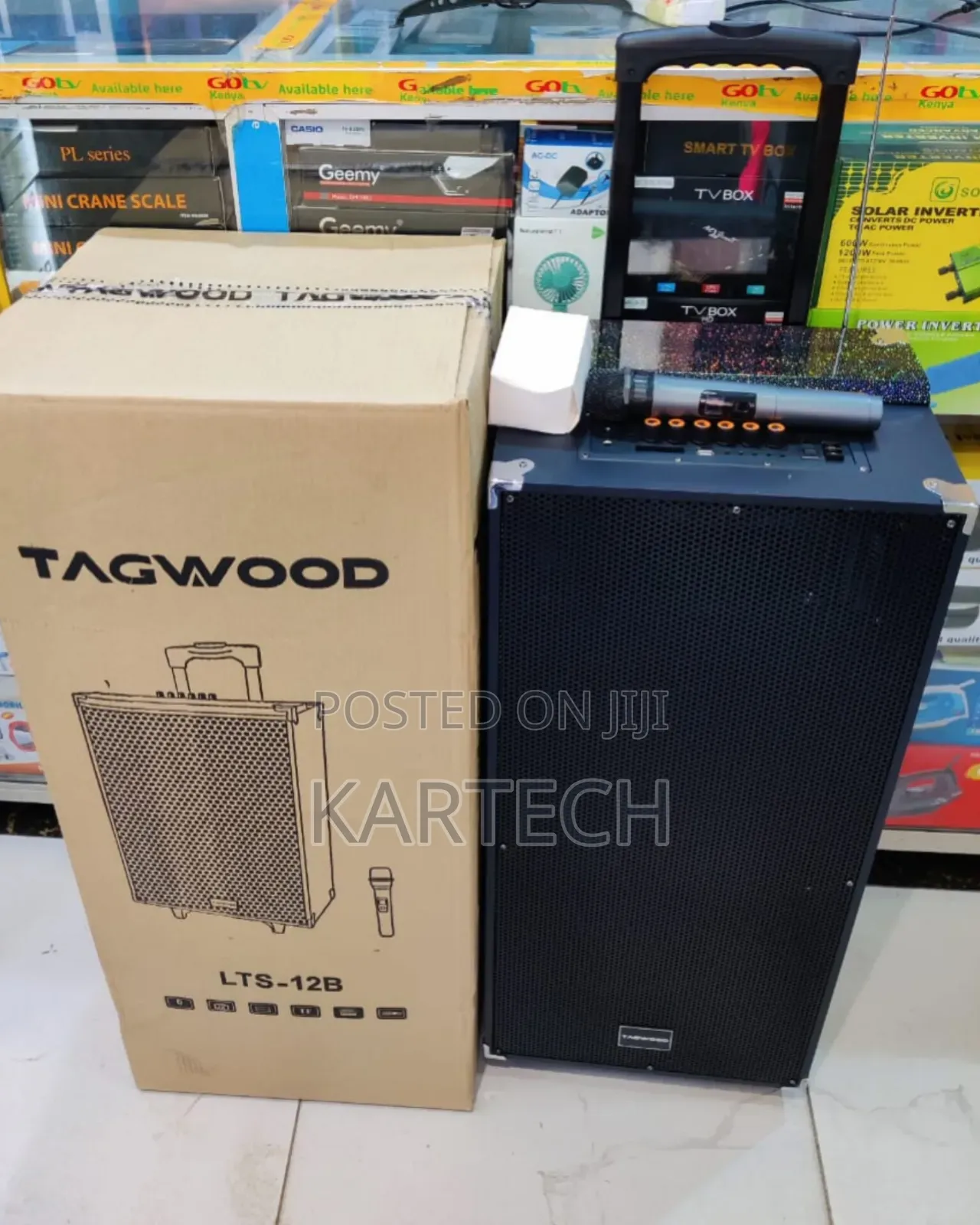 Tagwood 12" LTS-12B Portable Speaker