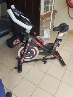 Multifunction Home Use 15kg Flywheel Spinning Bike