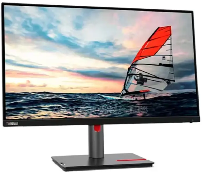 Lenovo Thinkvision P25i-30 24.5" FHD Monitor 100hz