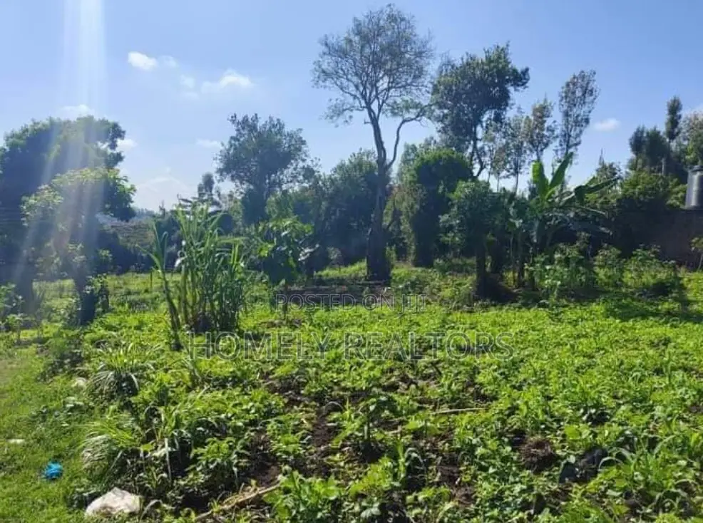 One Acre Land for Sale in Ngong Vet Near Tarmac