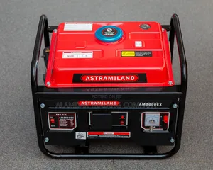 1000w Generator
