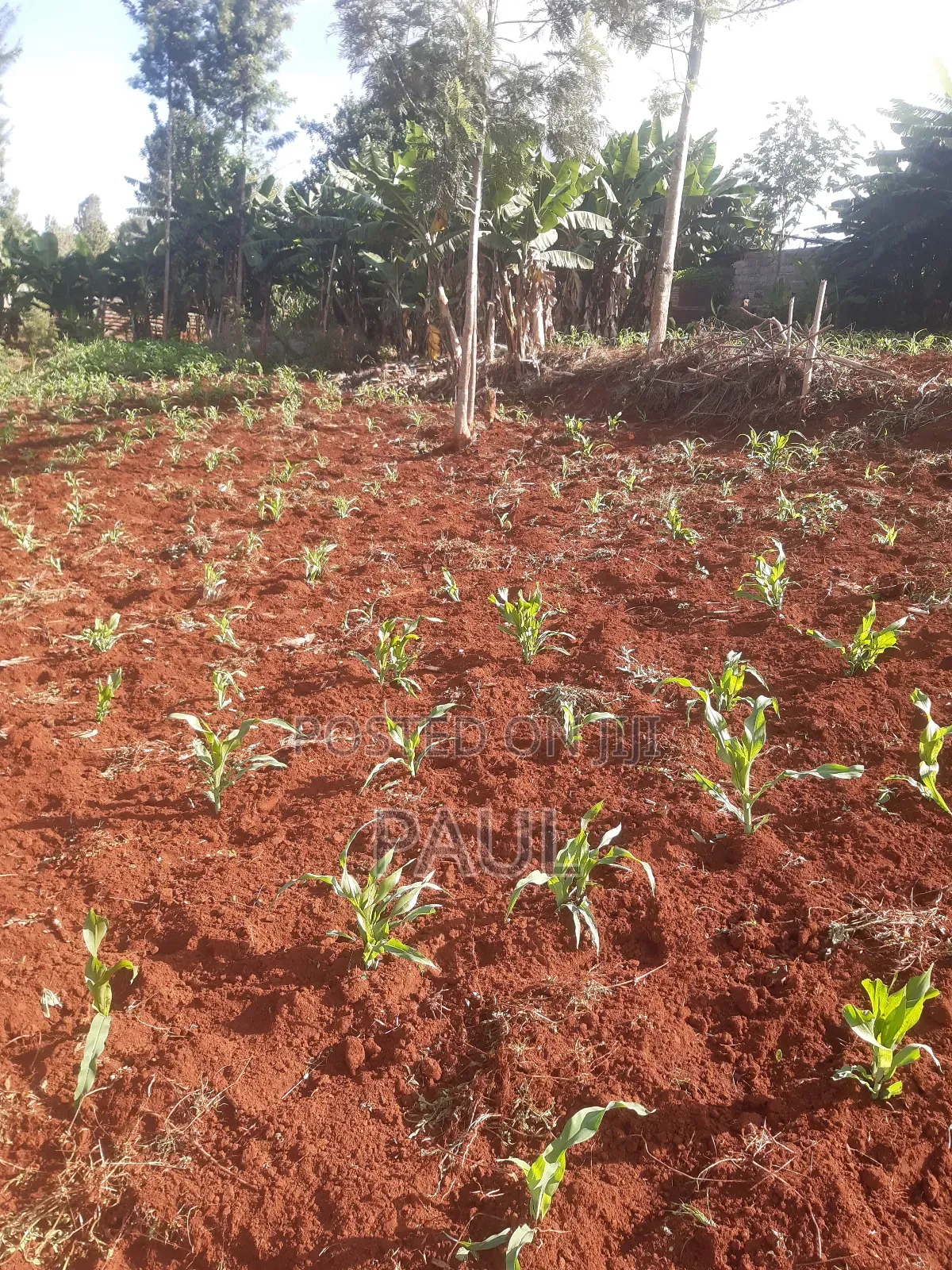 Land and Plots Gatundu North