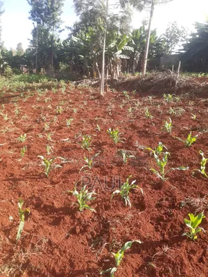Land and Plots Gatundu North