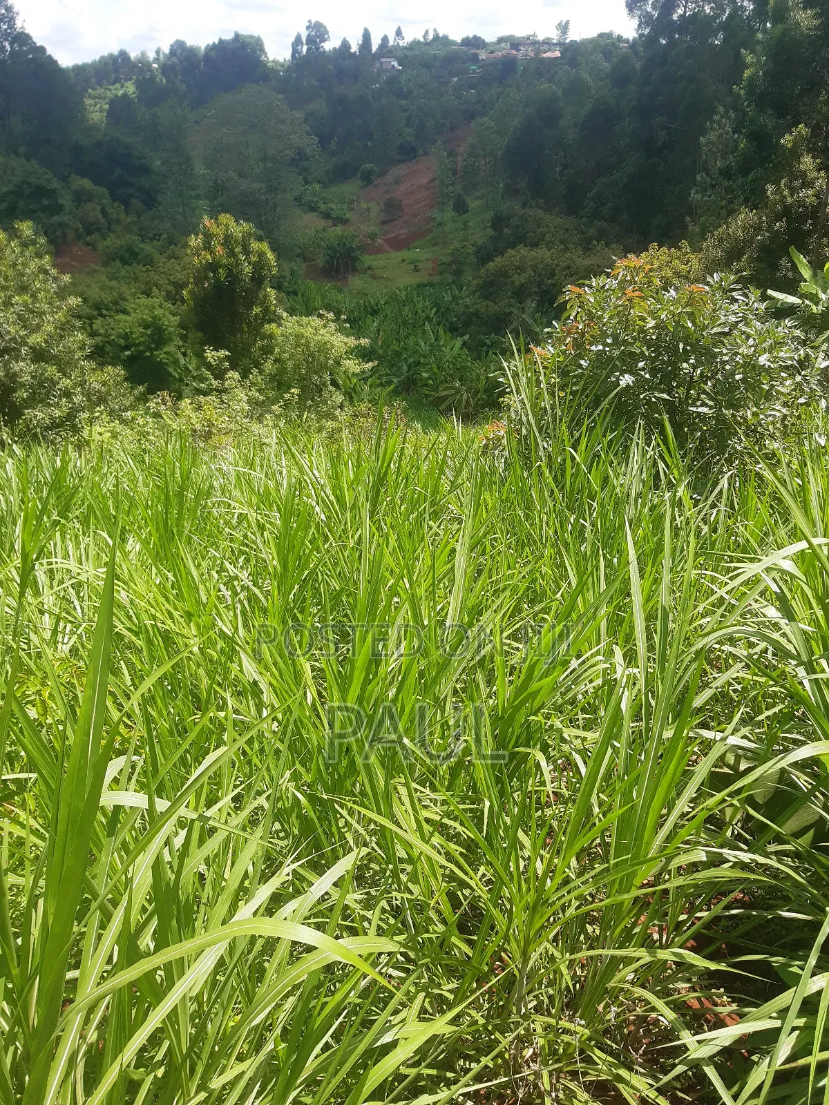 Land and Plots Gatundu North