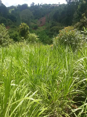 Land and Plots Gatundu North