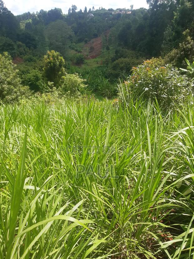 Land and Plots Gatundu North - thumbnail 6