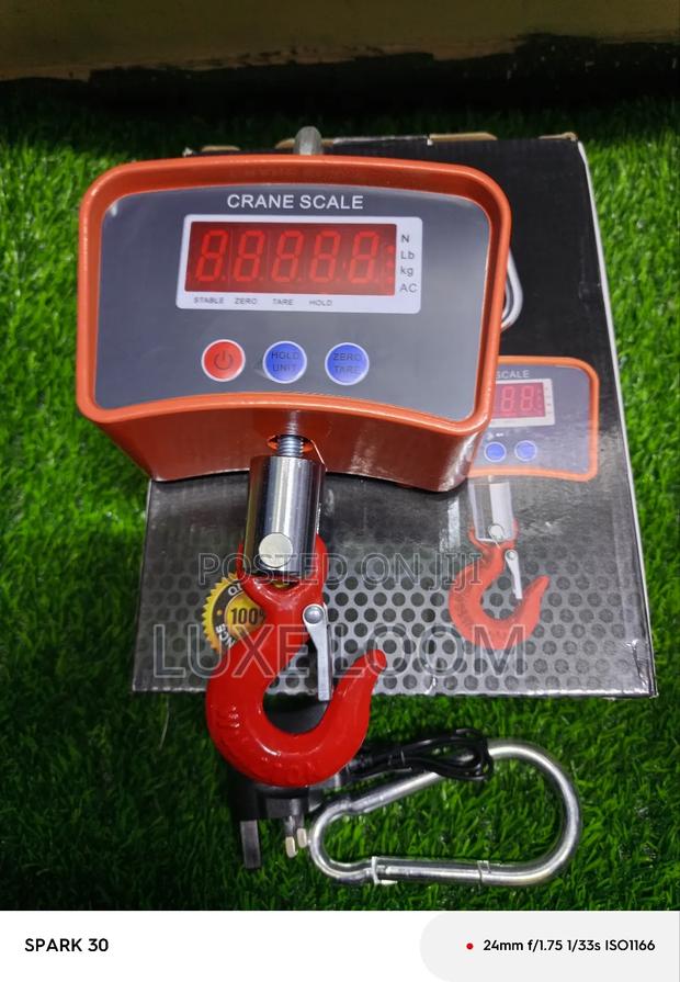 Crane Scale - main view