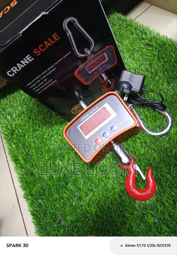 Digital Crane Scale - main view