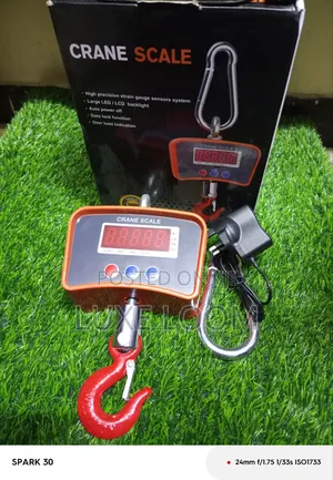 500kgs Scale/ Crane Scale
