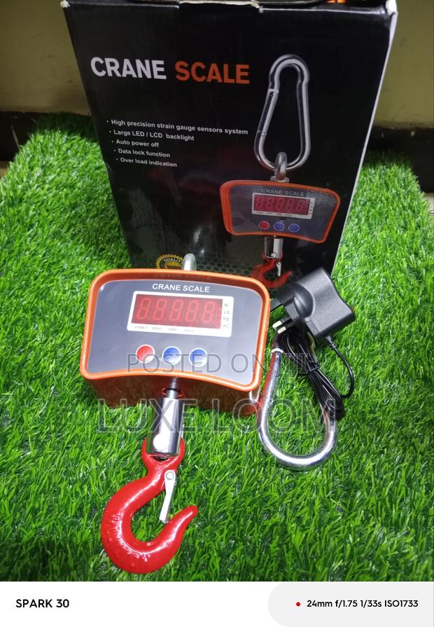 500kgs Scale/ Crane Scale