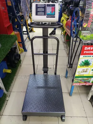 Digital Platform Scale