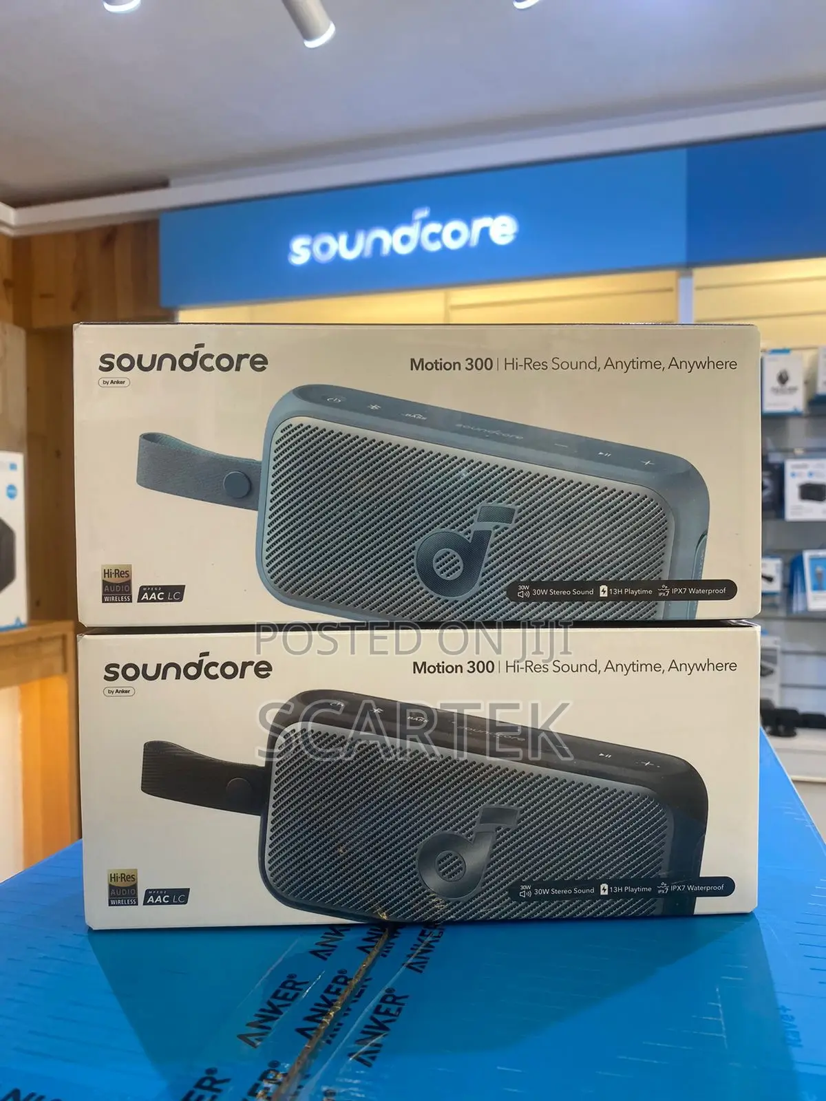 Soundcore Motion 300