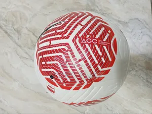 Nike Flight Match Ball 2023-2024 Football Ball