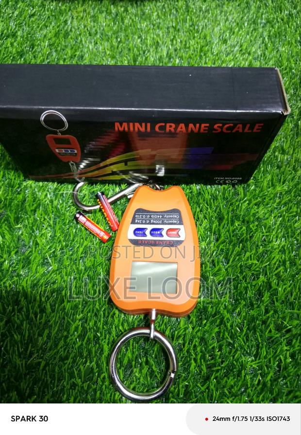 Crane Scale / Crane Scale