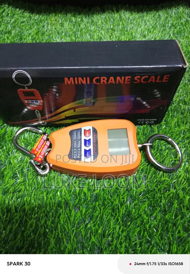 Approved Mini Crane 200kgs - main view