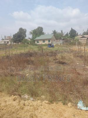 Plot for Sale at Majaoni Utange - thumbnail 2