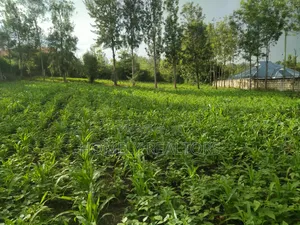 One Acre Piece of Land in Ongata Rongai Along Merisho Area