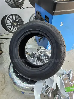 205/65r15 Petromax Tyre