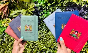 Small Fashion Casual Travel Passport Case Holder