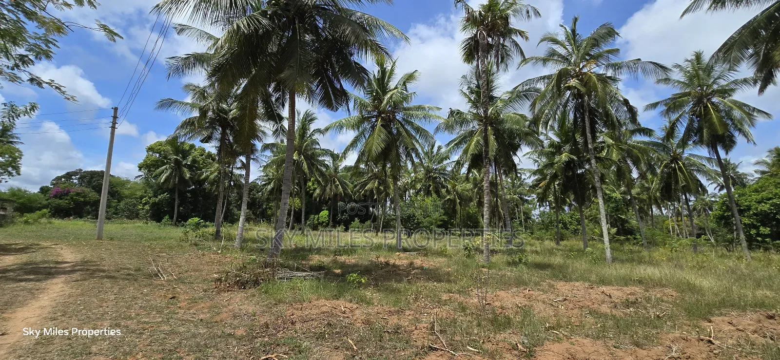 6-Acre Prime Land for Sale in Bomani (Kikambala)