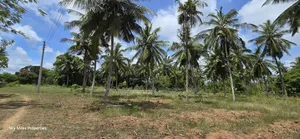 6-Acre Prime Land for Sale in Bomani (Kikambala)