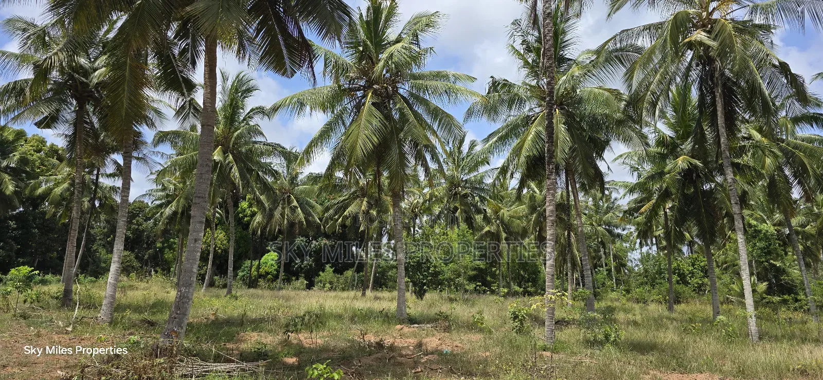 6-Acre Prime Land for Sale in Bomani (Kikambala)