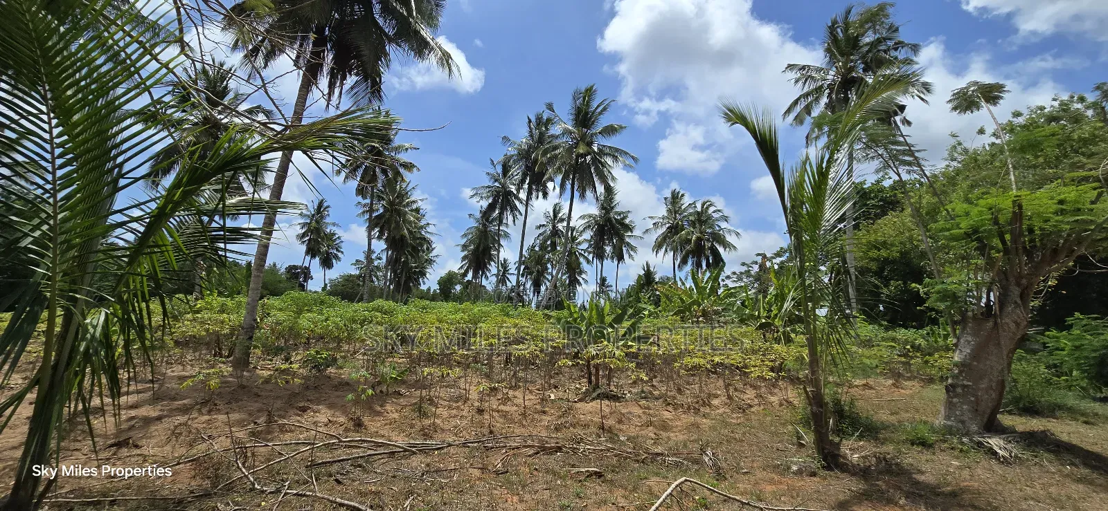 6-Acre Prime Land for Sale in Bomani (Kikambala)