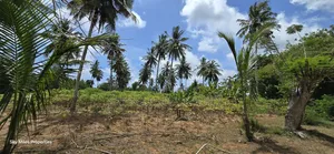 6-Acre Prime Land for Sale in Bomani (Kikambala)