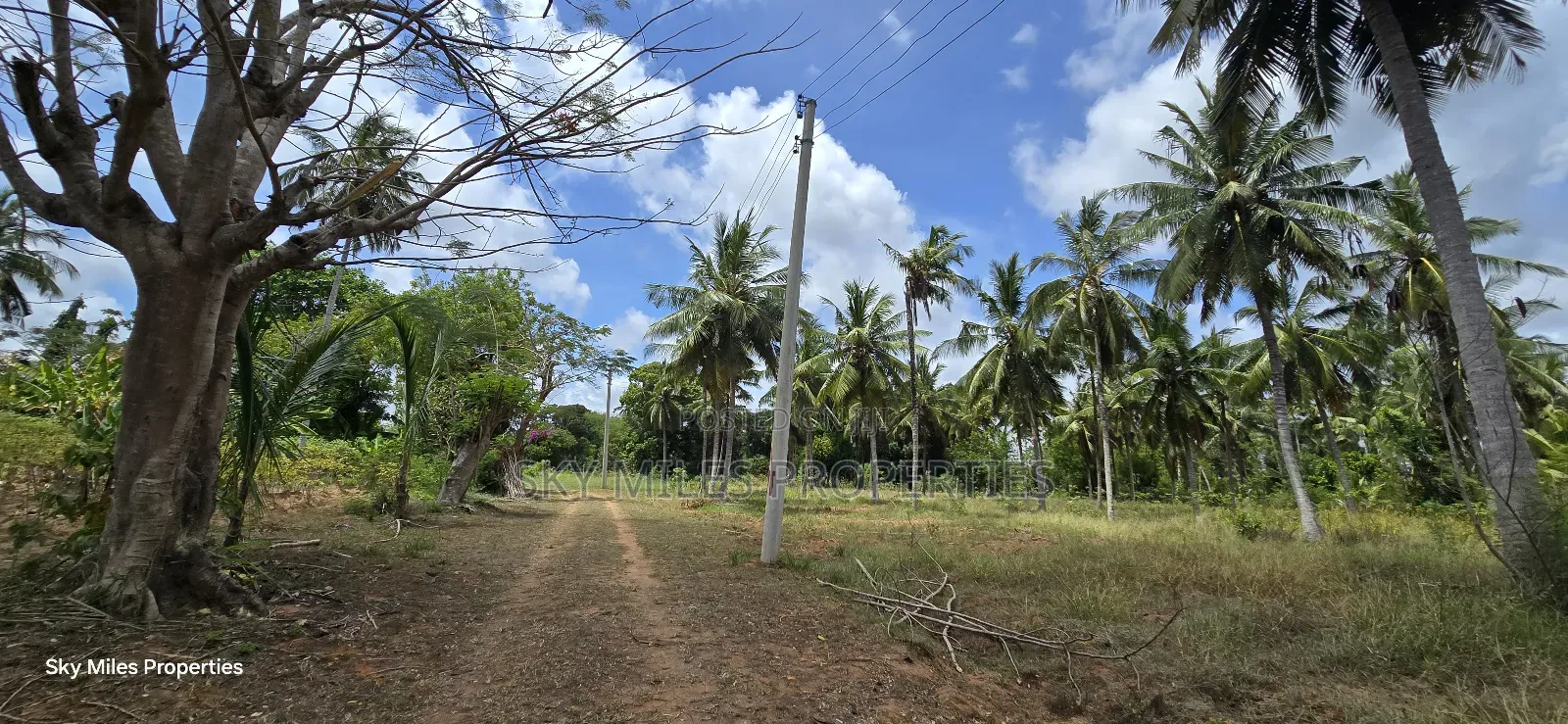 6-Acre Prime Land for Sale in Bomani (Kikambala)
