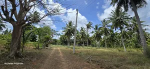 6-Acre Prime Land for Sale in Bomani (Kikambala)