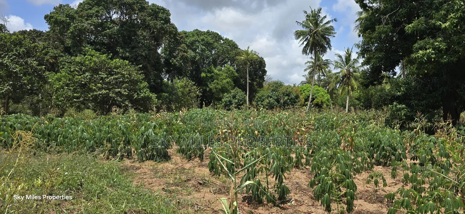 6-Acre Prime Land for Sale in Bomani (Kikambala)