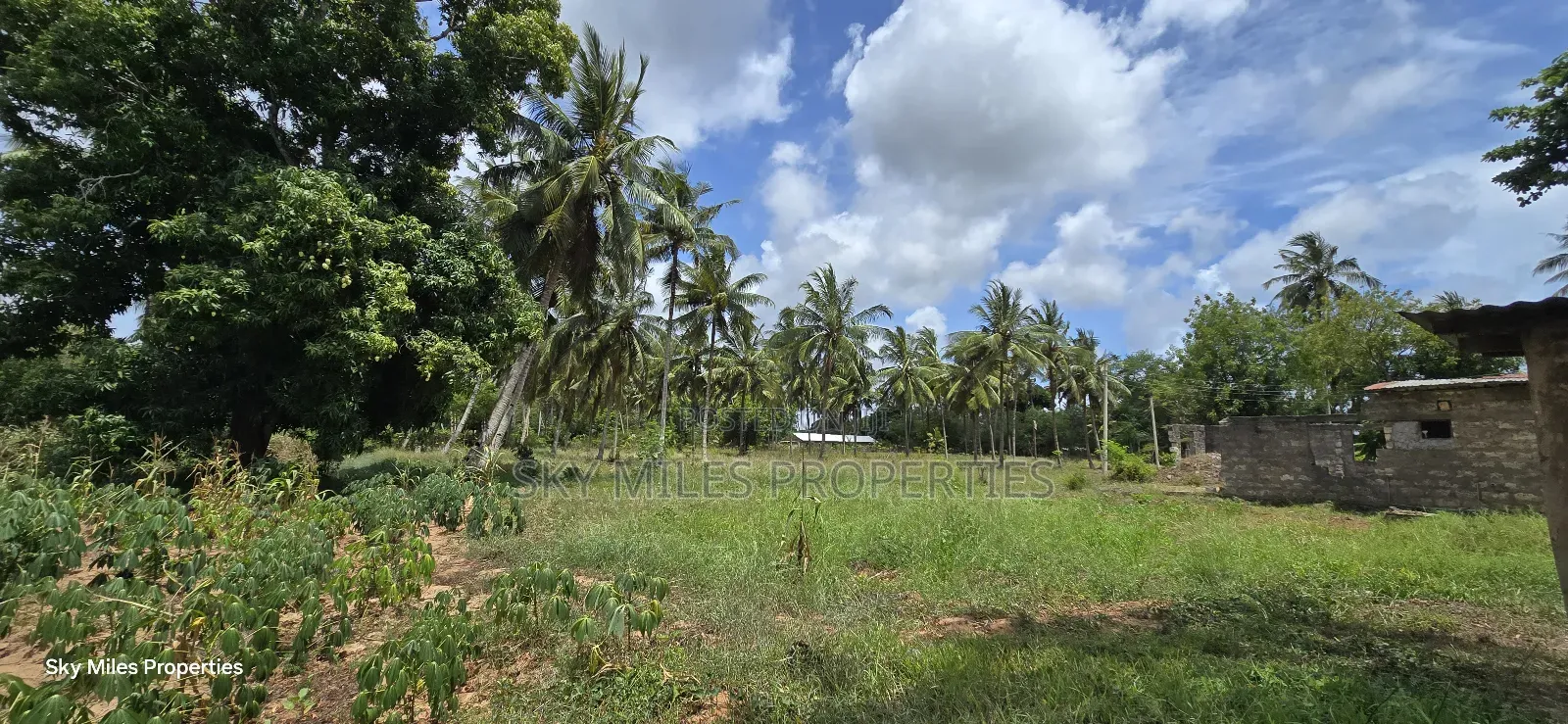 6-Acre Prime Land for Sale in Bomani (Kikambala)