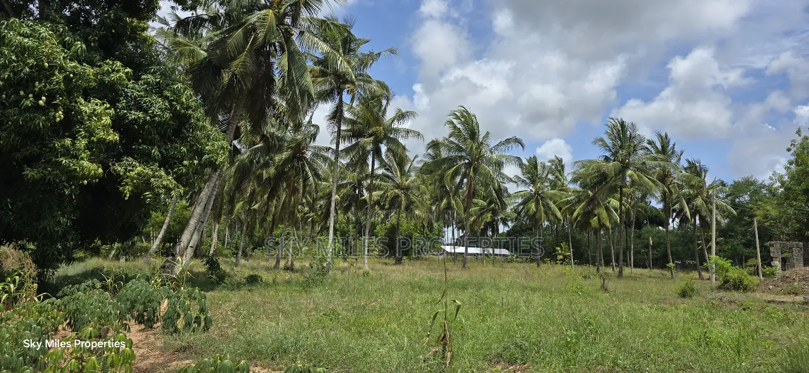 6-Acre Prime Land for Sale in Bomani (Kikambala)