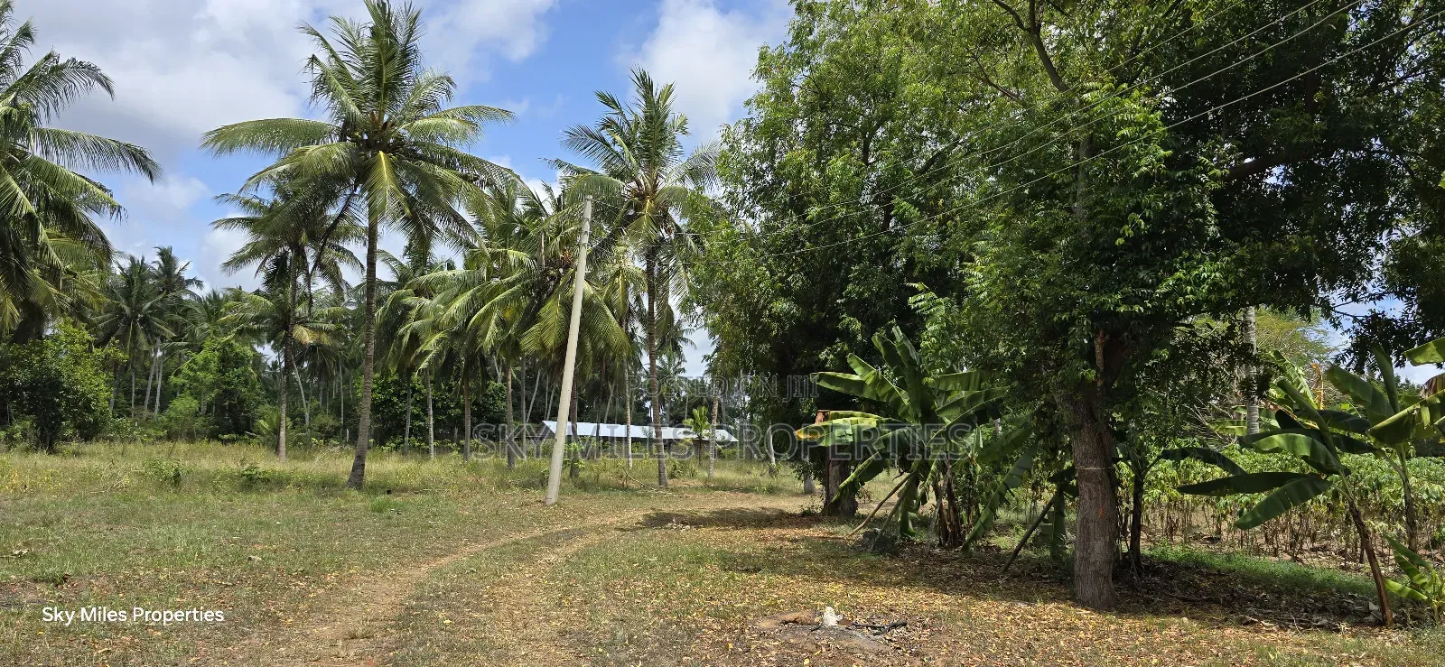 6-Acre Prime Land for Sale in Bomani (Kikambala)