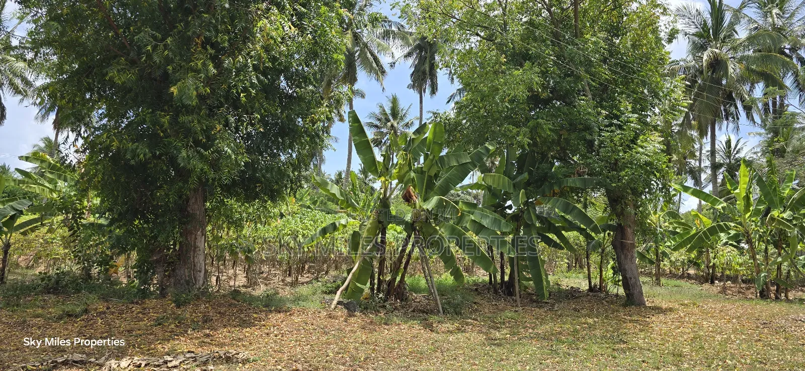 6-Acre Prime Land for Sale in Bomani (Kikambala)