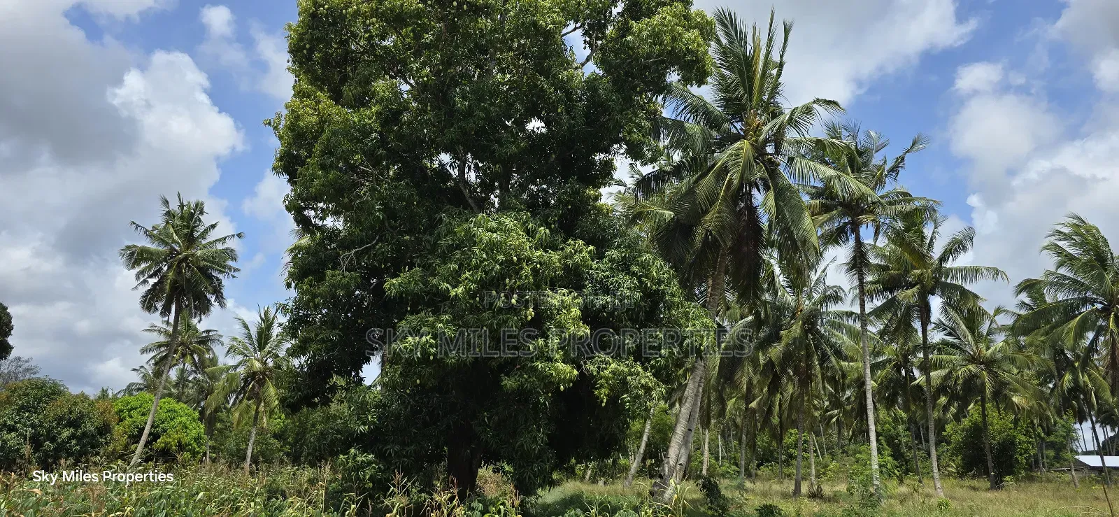 6-Acre Prime Land for Sale in Bomani (Kikambala)