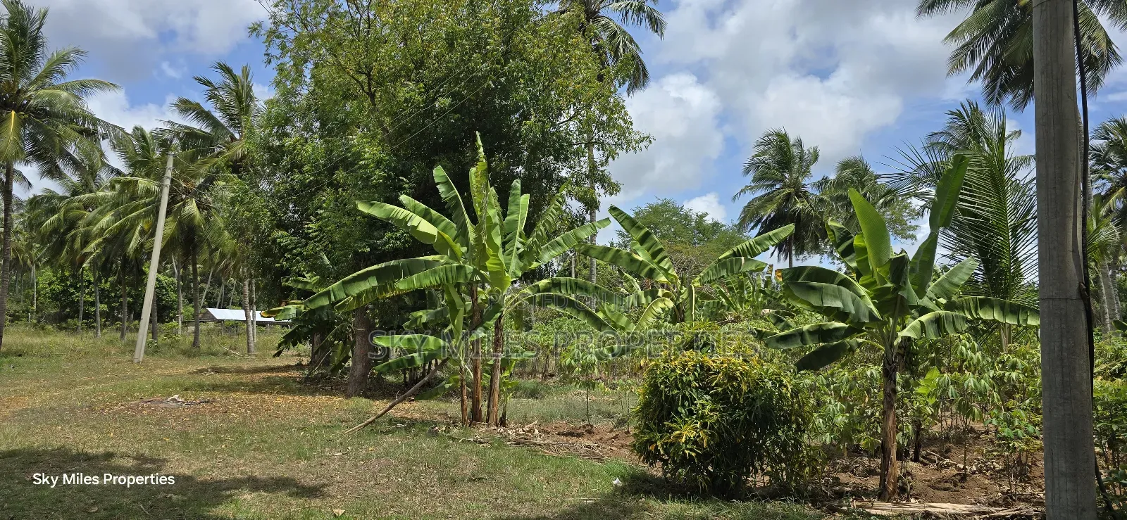 6-Acre Prime Land for Sale in Bomani (Kikambala)