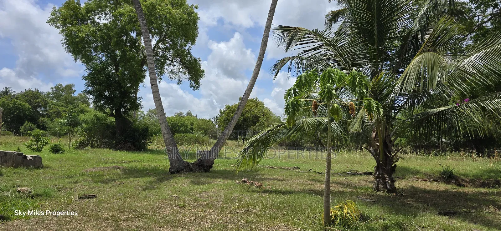 6-Acre Prime Land for Sale in Bomani (Kikambala)