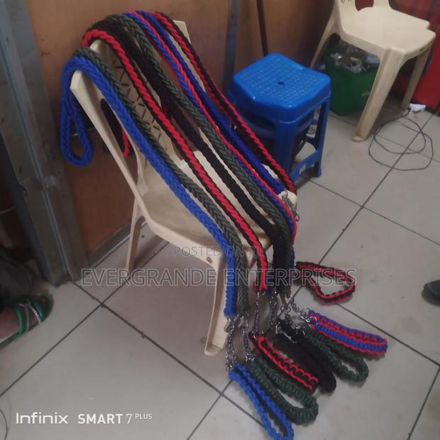 *Dog Leash * Dog Leash With Harness - main view
