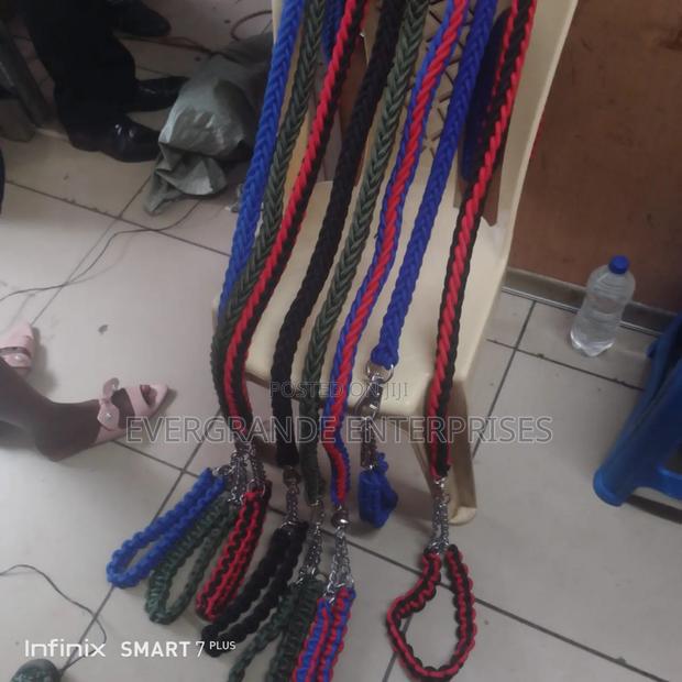 Dog Leash With Harness ,Dog Leash - main view